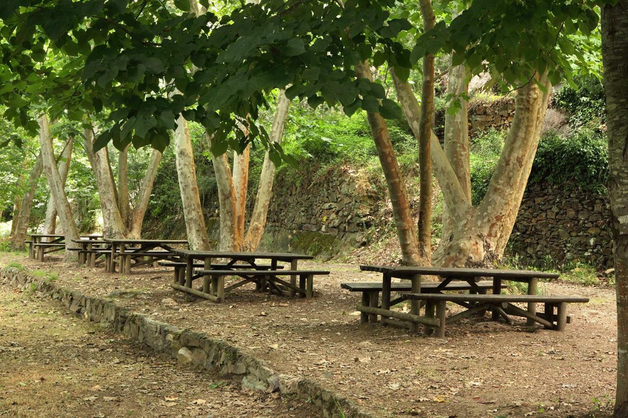 Casa Da Eira Vendégház Lousã Kültér fotó